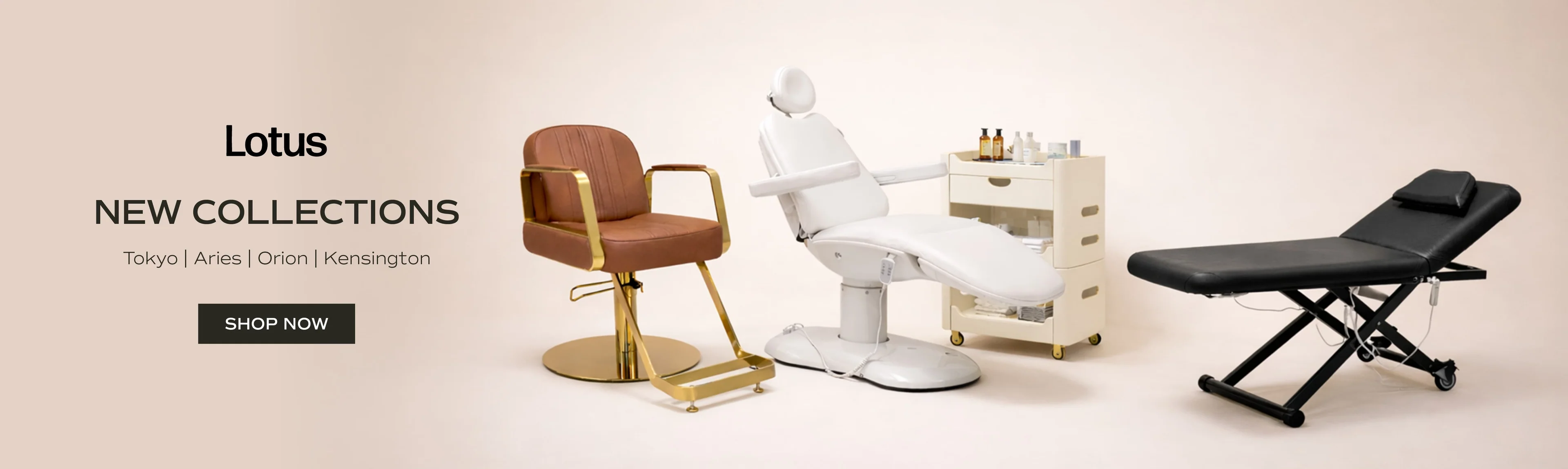 Elevate Your Salon's Professional Edge